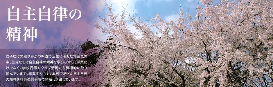 新濠手机客户端下载官网